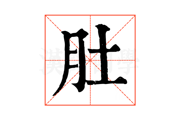 肚 肚