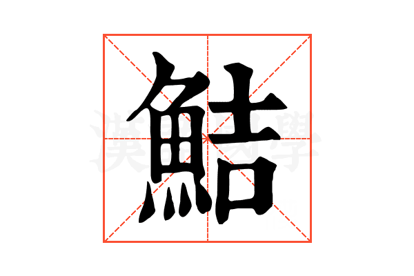 鮚 鮚