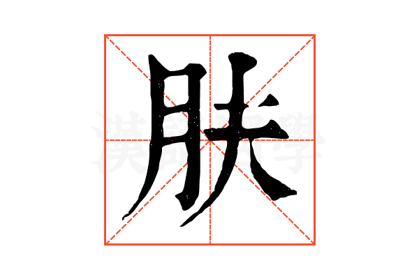 肤 肤