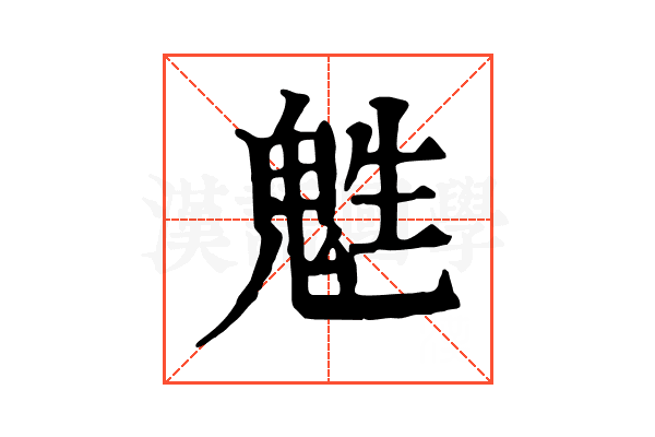 𩲵