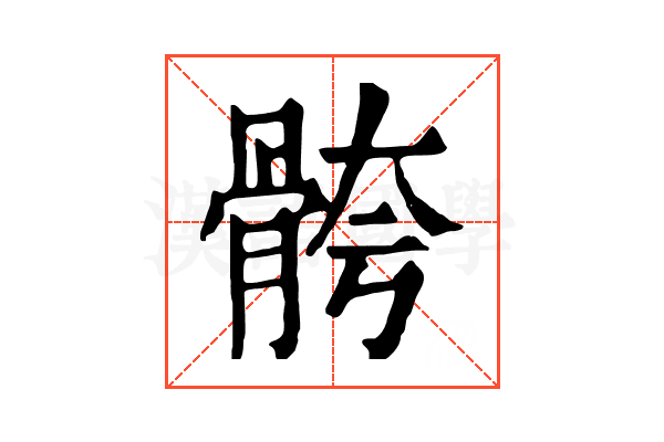 骻 骻