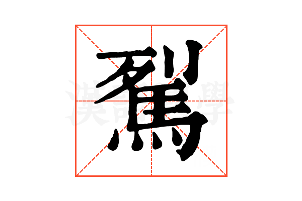 𩢾 𩢾