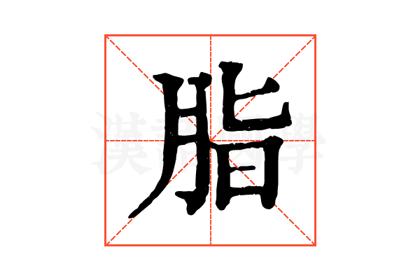 脂 脂