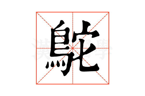 鴕 鴕