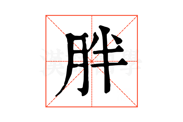 胖 胖