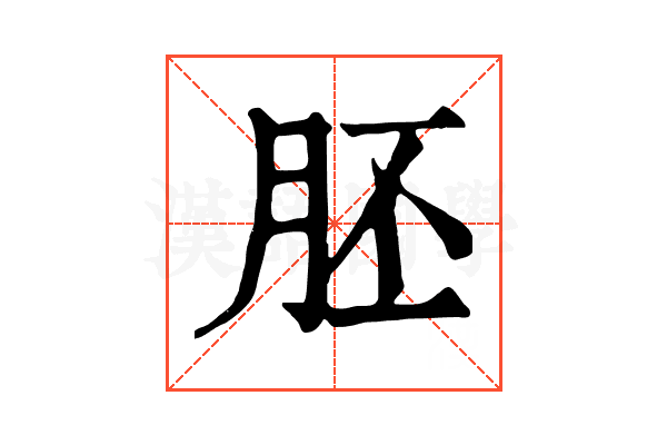 胚