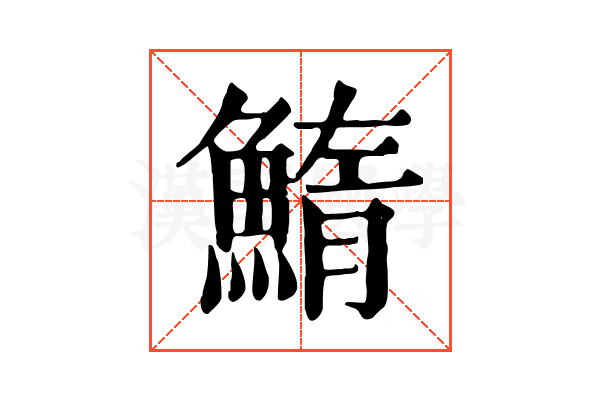鰖