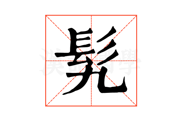 𩫴