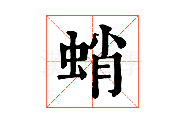 蛸 蛸