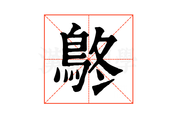 鴤