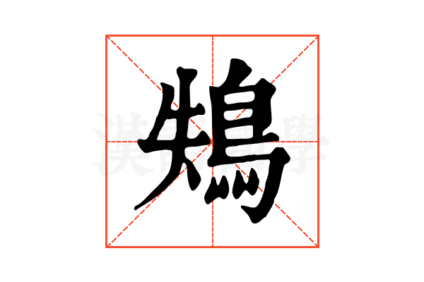 鴩