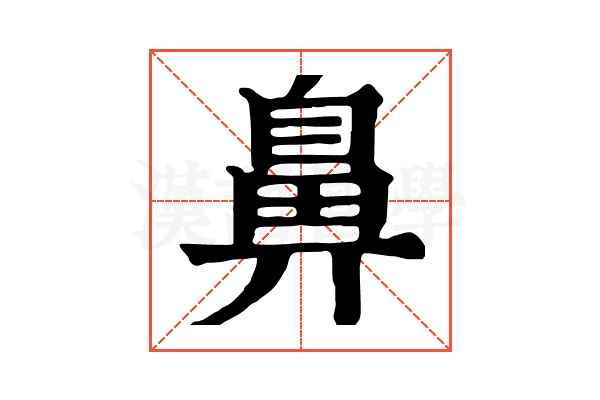 鼻 鼻