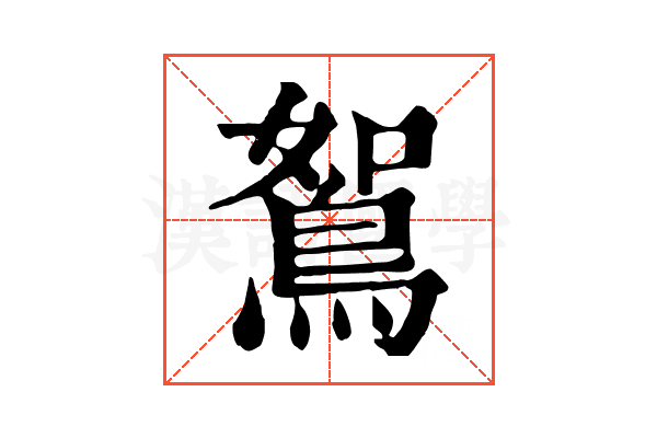 鴽 鴽