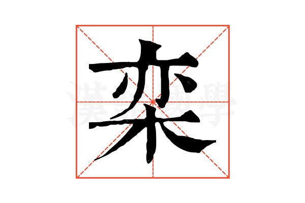 栾 栾