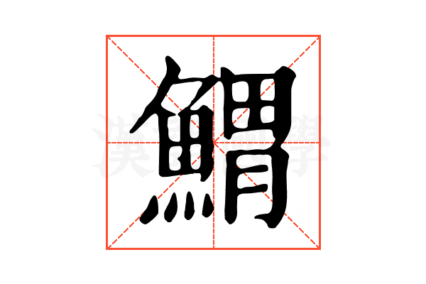 𩹂