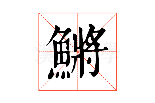 鱂