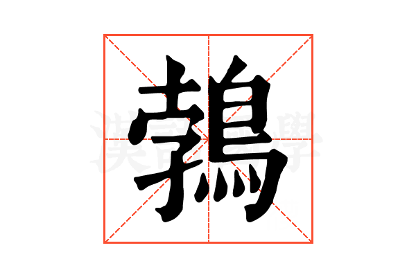 鵓 鵓