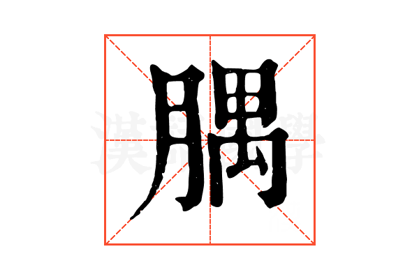 腢 腢