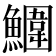 𩼀