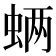 𮔊