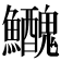 𩽤