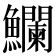 𩽥