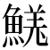 𩹦