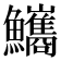 𩽨