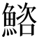 𫙩