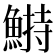 𩹭