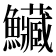 𩽮
