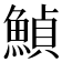 𩹰