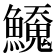 𬵲
