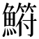 𫙳