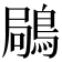 𪁵