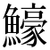 𬵵