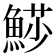 𩸌