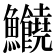 𩽸
