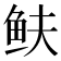 𩽺