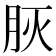 𦙻