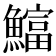 𫙻