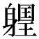 𨉽