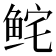 𩽽
