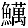 𫙽
