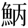 𩶁