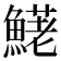 𩺆