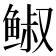 𩾈