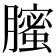 𦢉