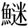 𩺍