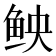 𫚐